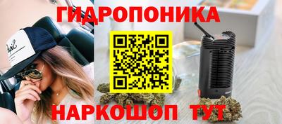 гашик Бугуруслан